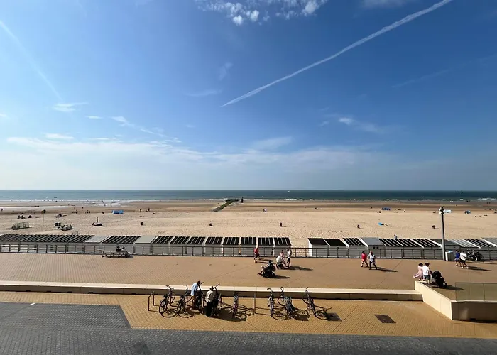 La Brise Et Le Rio - Cozy With Sea View T65 אוסטנדה